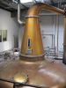 PICTURES/Dublin - Teeling Whiskey Distillery/t_Stills - Alison.JPG